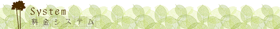 料金システム